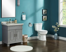 Load image into Gallery viewer, AquaSource Anti-microbial White Dual Flush Elongated Chair Height 2-Piece WaterSense Toilet 12-in Rough-In Size (ADA Compliant)
